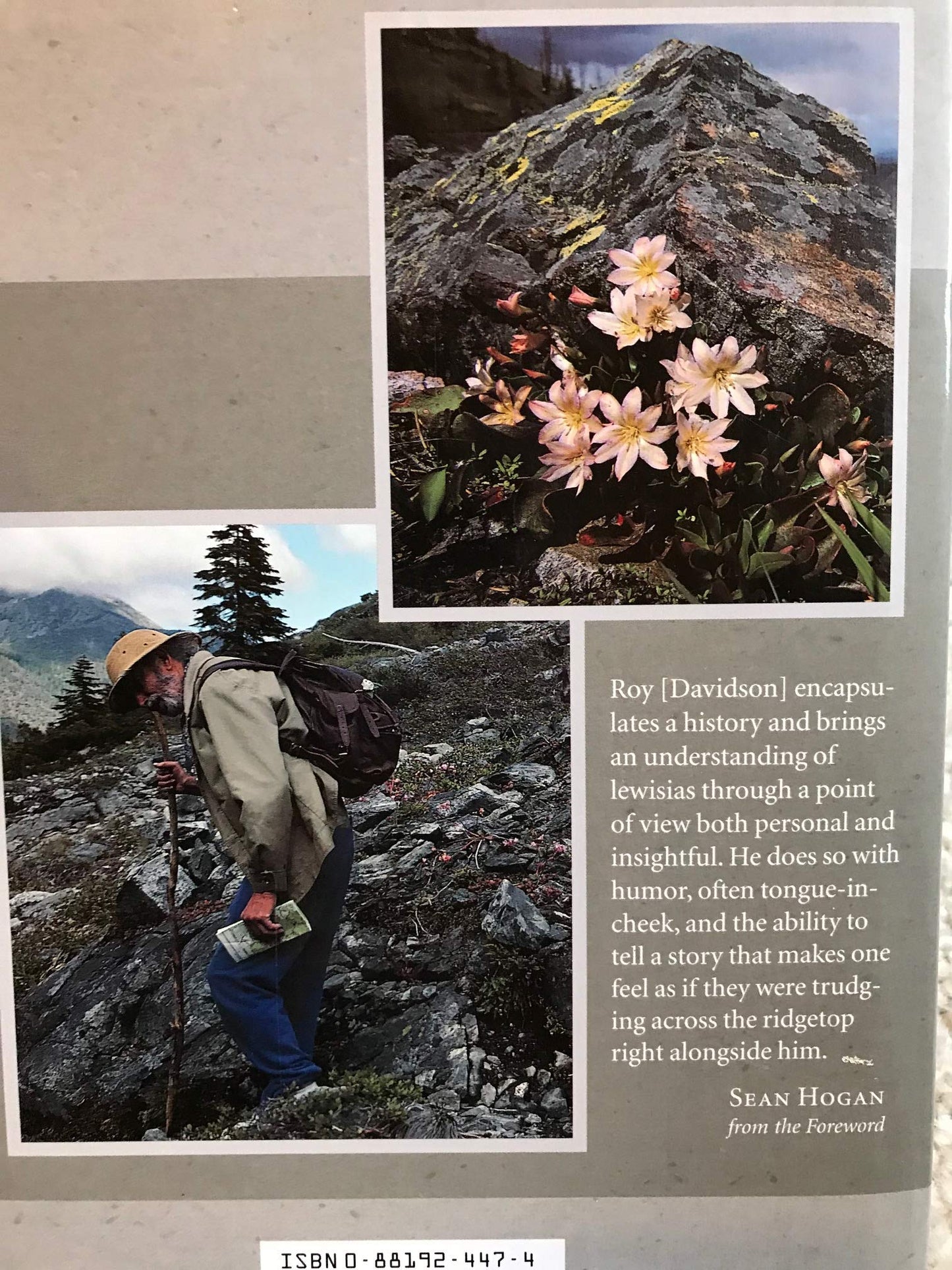 Lewisias
