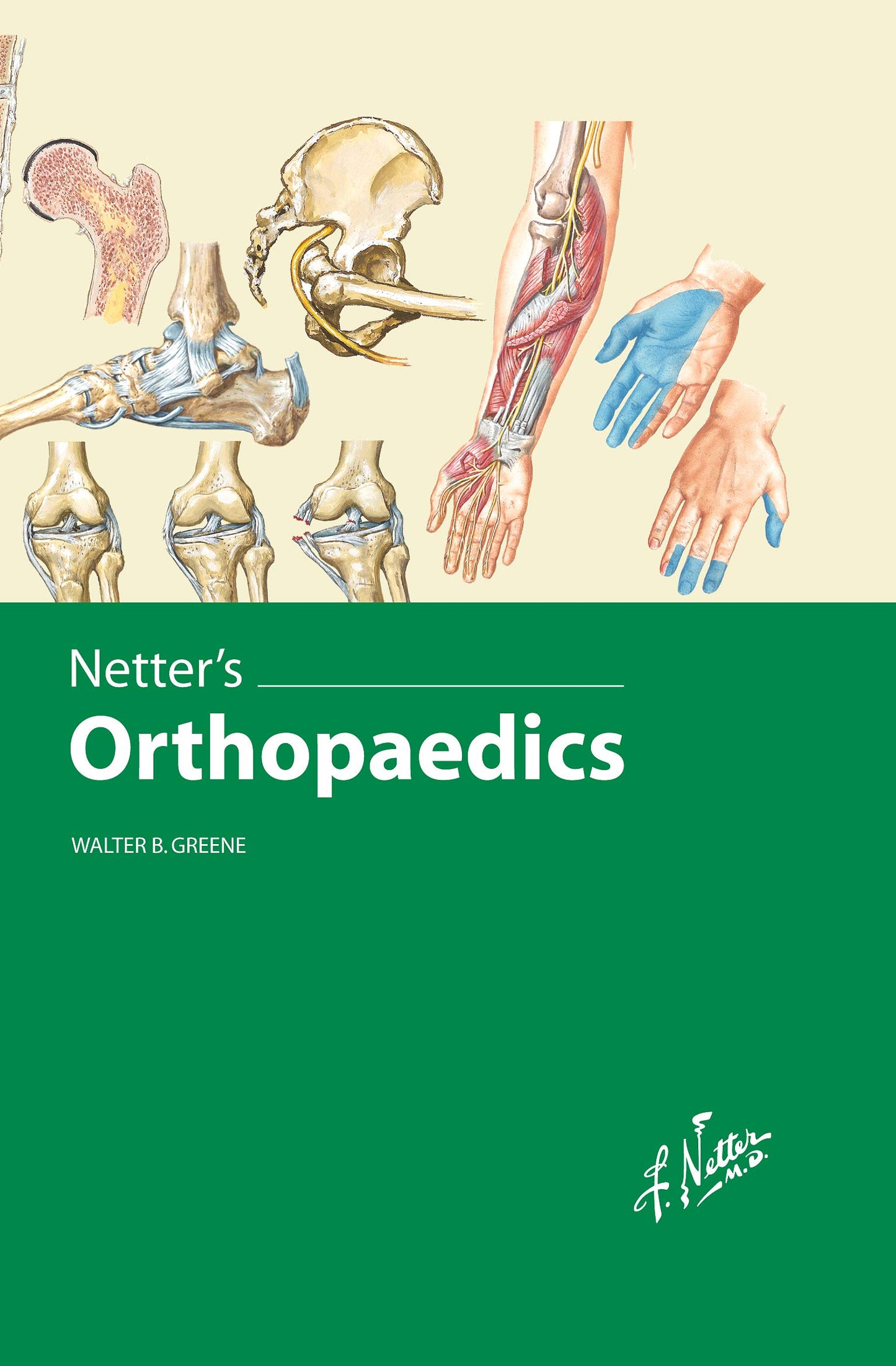 Netter's Orthopaedics, 1e
