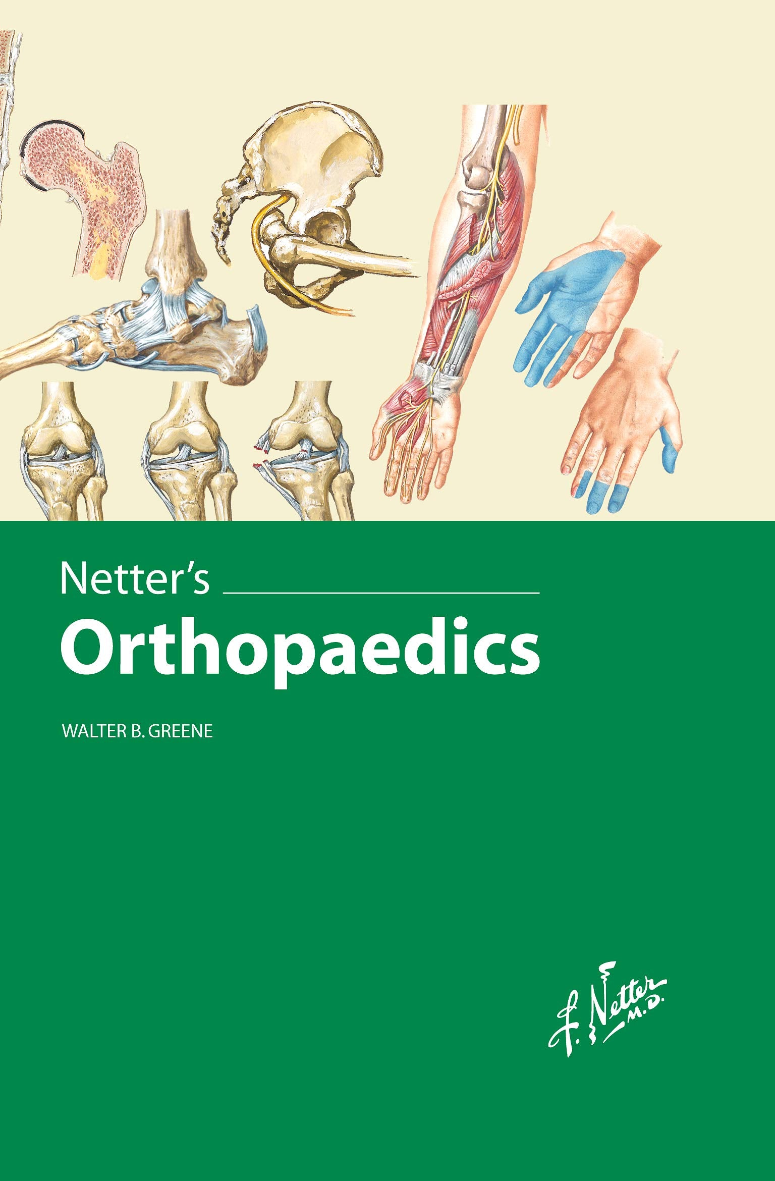 Netter's Orthopaedics, 1e