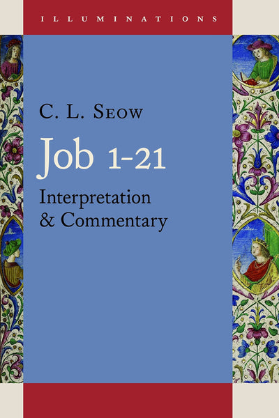 Job 1 - 21: Interpretation and Commentary (Illuminations (ILLUM))