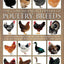 The Concise Encyclopedia of Poultry Breeds: An Illustrated Directory of over 100 Chickens, Ducks, Geese and Turkeys, With 275 Photographs