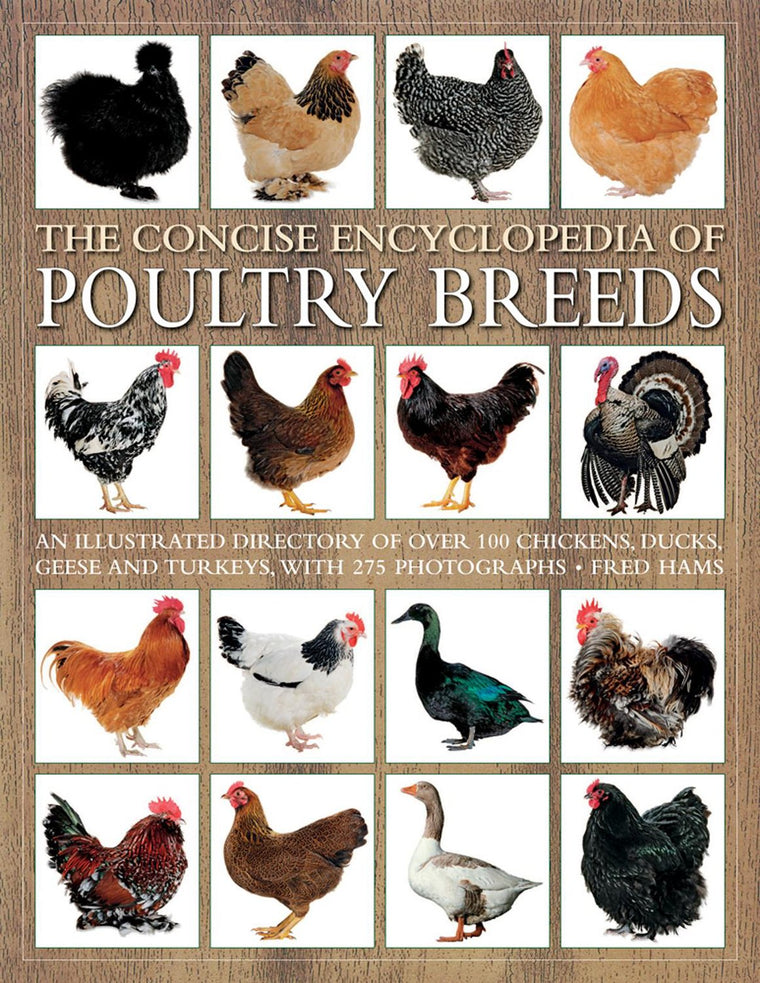 The Concise Encyclopedia of Poultry Breeds: An Illustrated Directory of over 100 Chickens, Ducks, Geese and Turkeys, With 275 Photographs