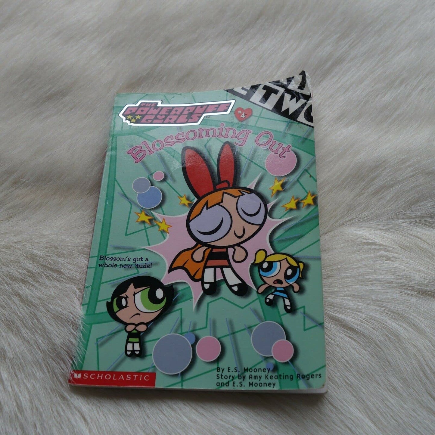 Powerpuff Girls Chapter Book #04: Blossoming Out