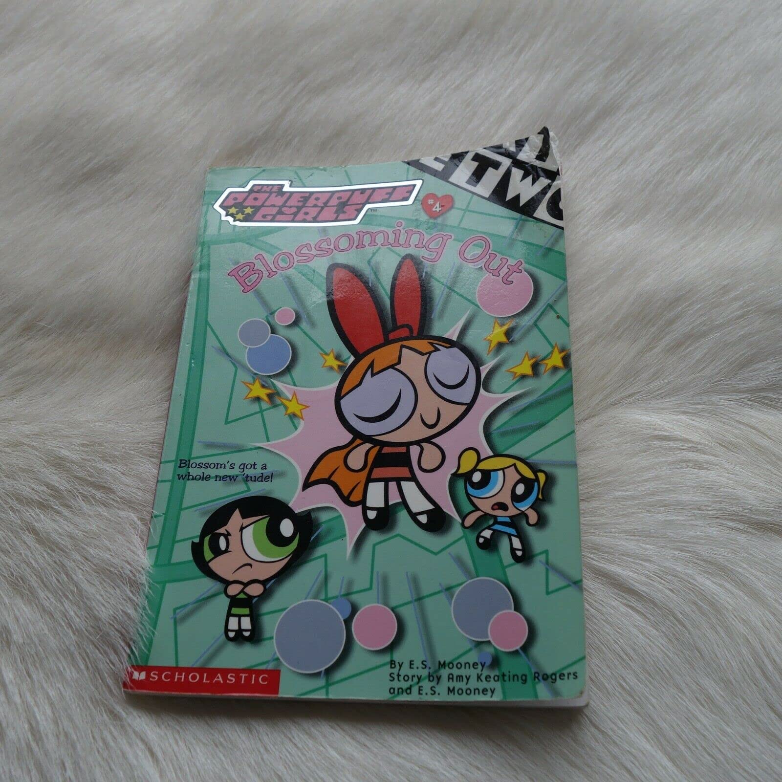Powerpuff Girls Chapter Book #04: Blossoming Out