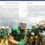 Pray Like a Champion Today: Sacred Stories from the Sidelines of Notre Dame Football