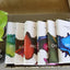 Immerse Bible Complete Set (Softcover) (Immerse: The Reading Bible)