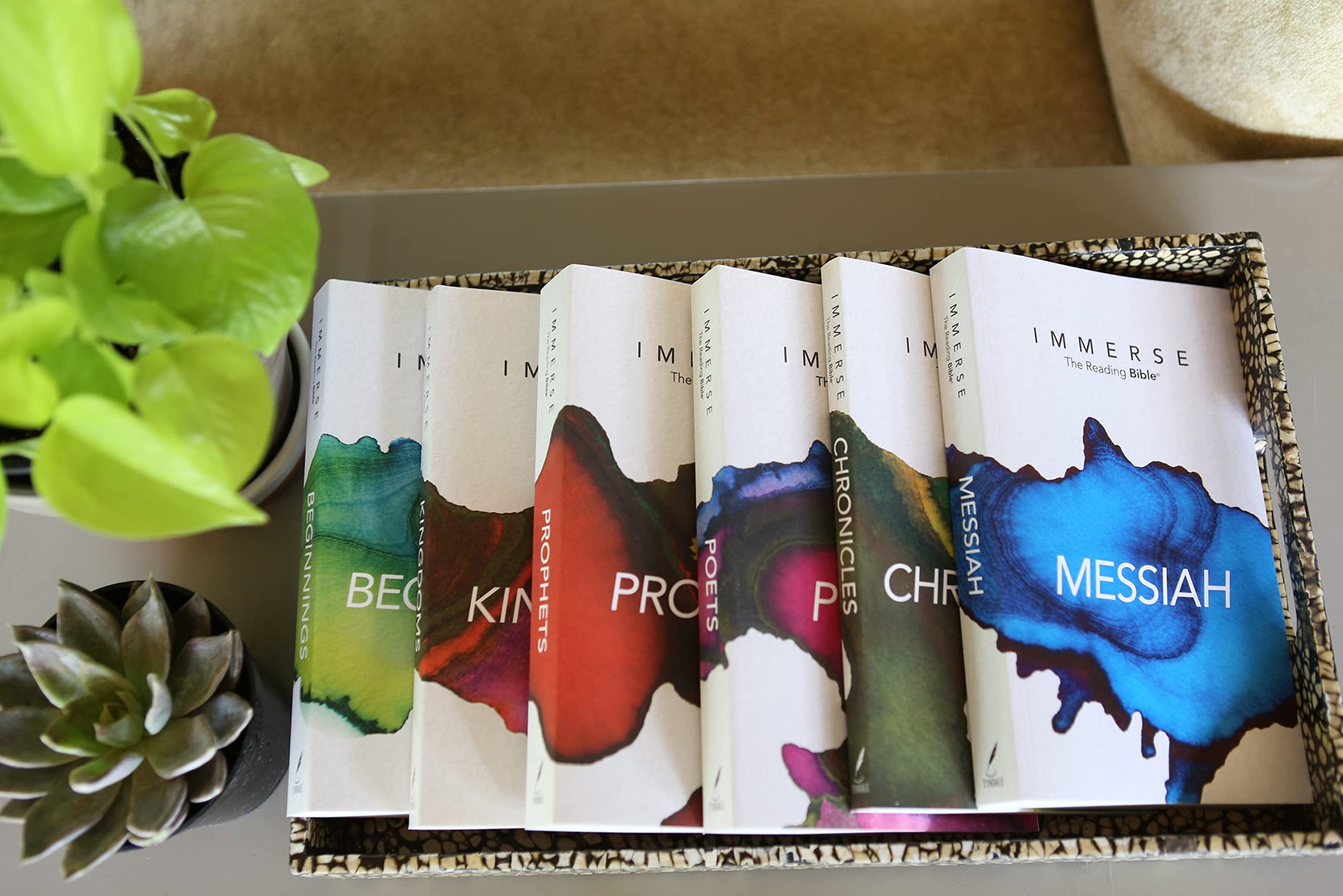Immerse Bible Complete Set (Softcover) (Immerse: The Reading Bible)