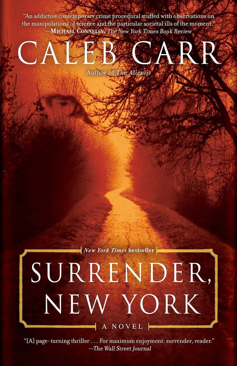 Surrender, New York: A Novel