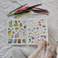 The Beginner's Bible Wild About Creation Sticker and Activity Book