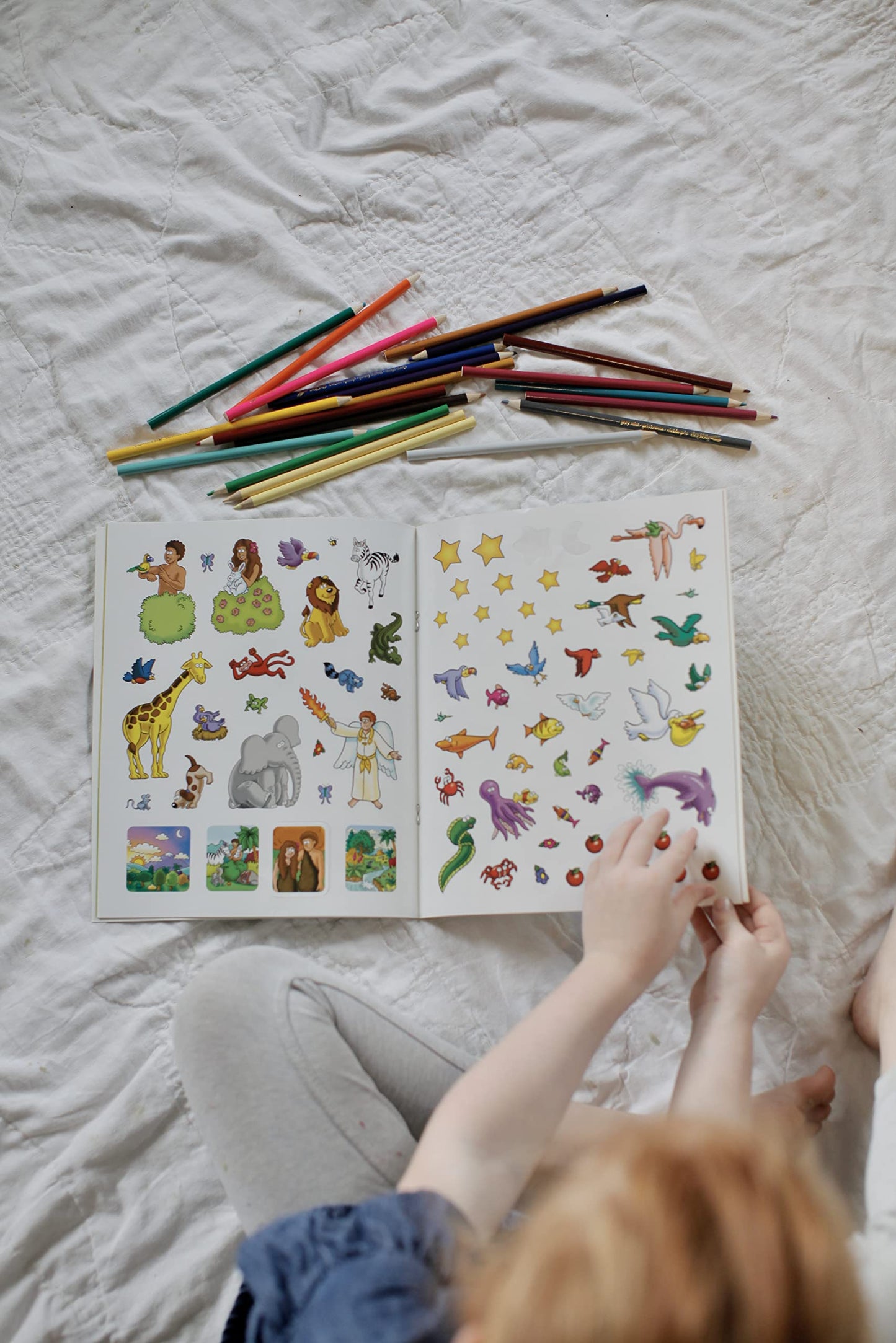 The Beginner's Bible Wild About Creation Sticker and Activity Book