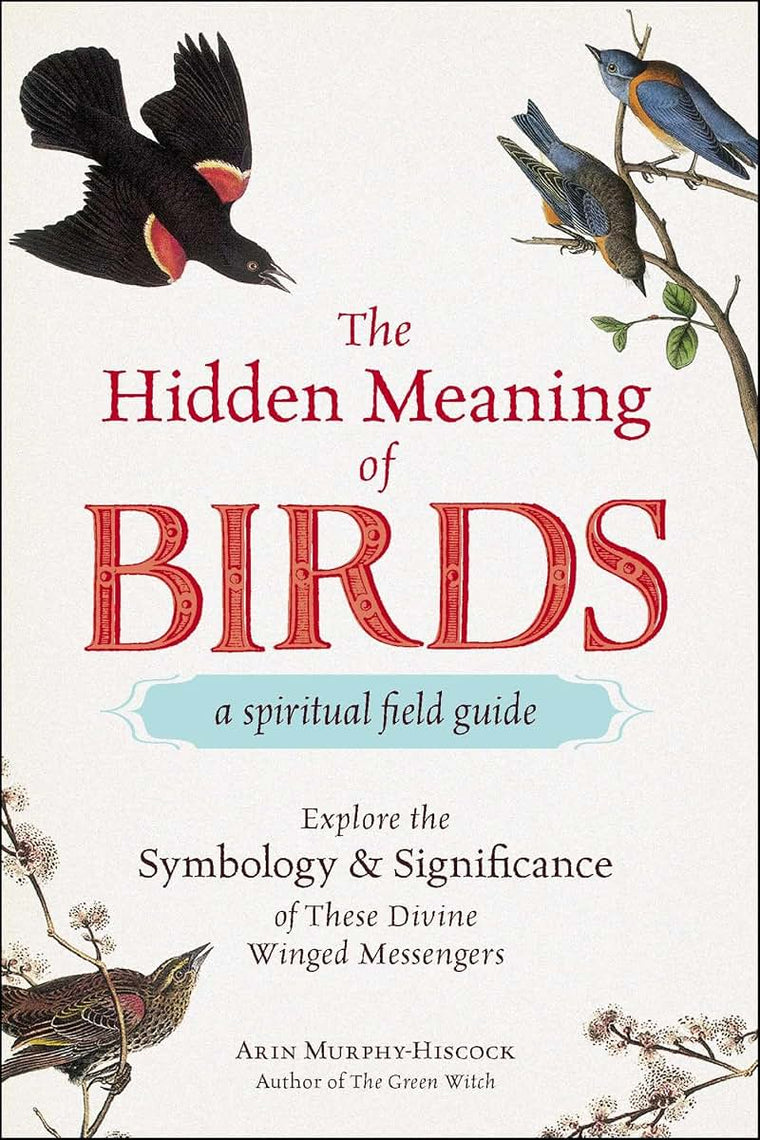 The Hidden Meaning of Birds--A Spiritual Field Guide: Explore the Symbology and Significance of These Divine Winged Messengers