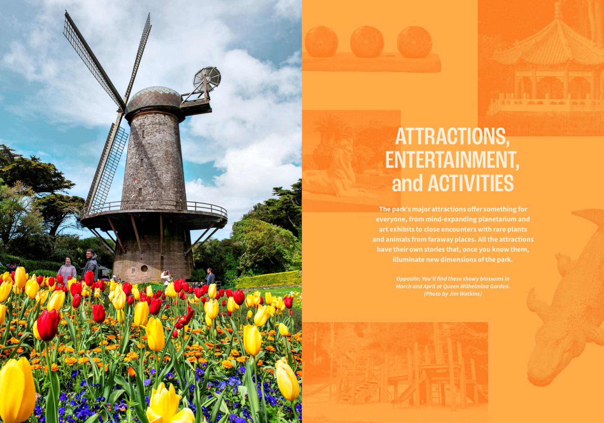 Discovering Golden Gate Park: A Locals Guide