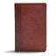CSB Everyday Study Bible, British Tan LeatherTouch, Black Letter, Study Notes, Illustrations, Aricles, Easy-to-Carry, Easy-to-Read Bible Serif Type