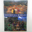 Material World: A Global Family Portrait