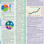 Environmental Science: a QuickStudy Laminated Reference Guide (Quick Study Academic)