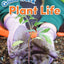 Good Work: Plant Life (TIME FOR KIDS Nonfiction Readers)