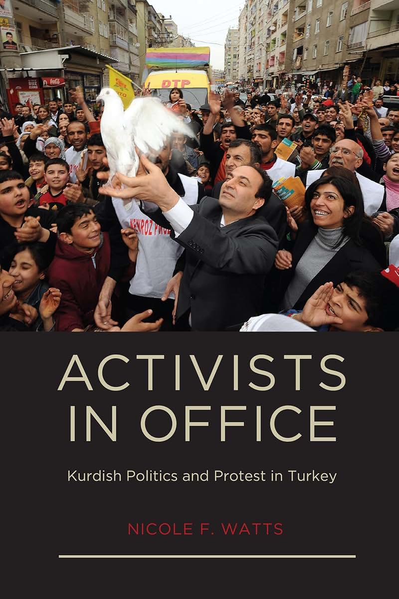 Activists in Office: Kurdish Politics and Protest in Turkey (Studies in Modernity and National Identity)