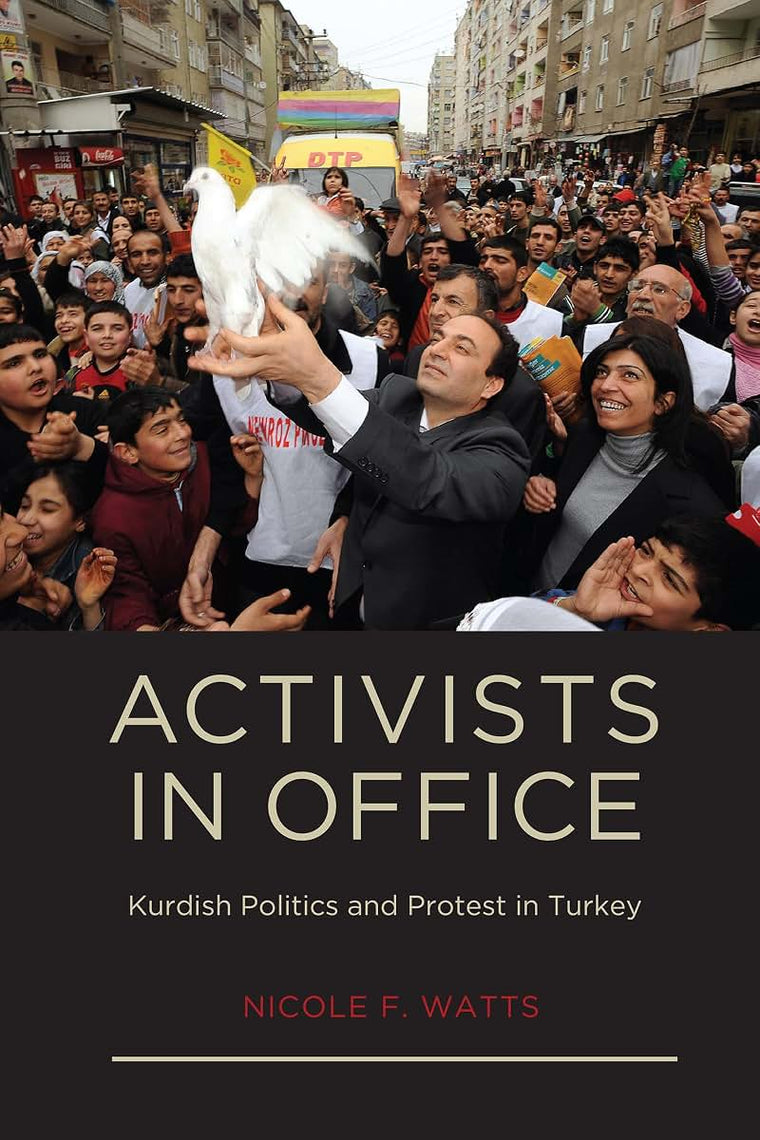 Activists in Office: Kurdish Politics and Protest in Turkey (Studies in Modernity and National Identity)
