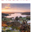 DK Top 10 Lake District (Pocket Travel Guide)