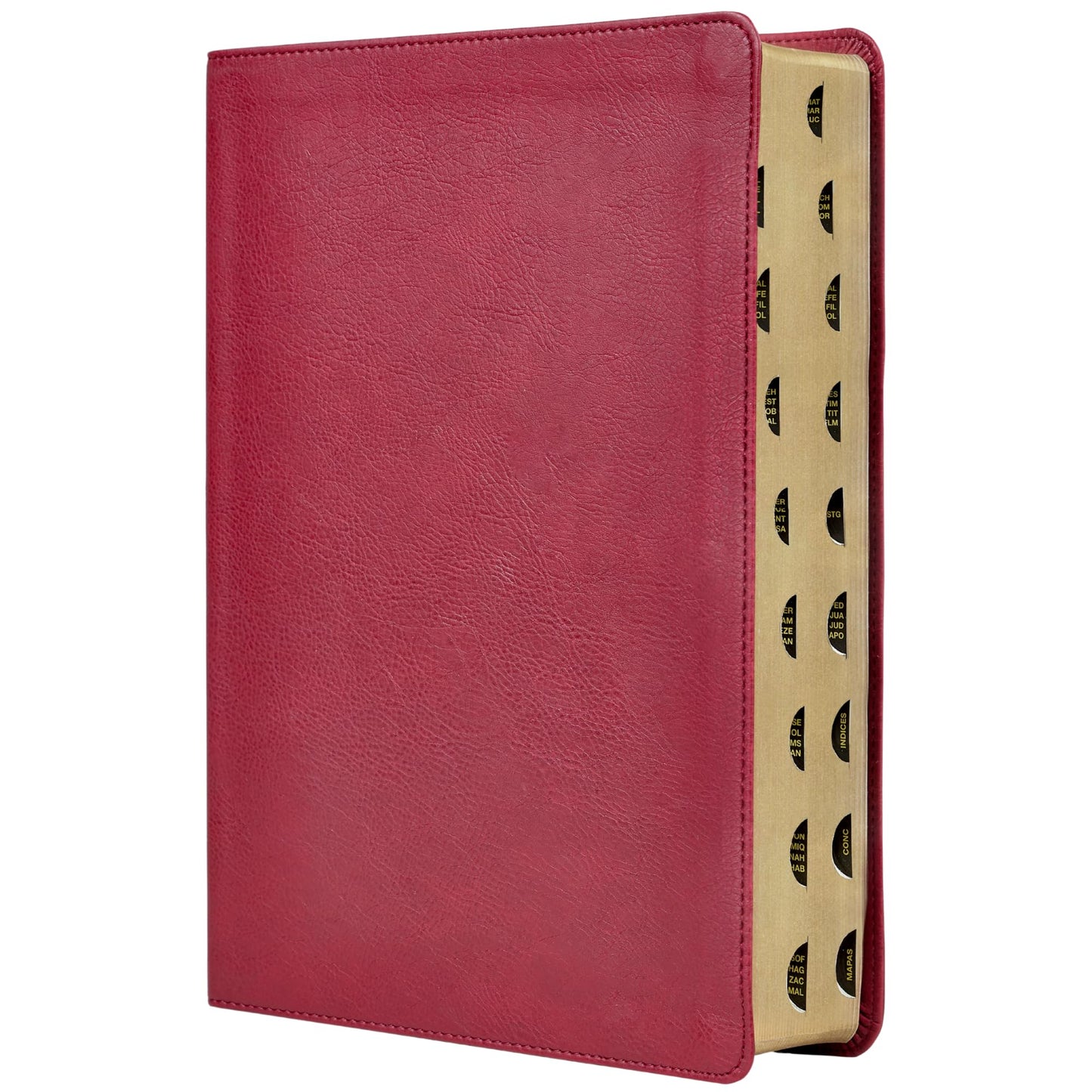 RVR, Biblia de estudio trasfondo cultural (El contexto lo cambia todo), Leathersoft, Rojo vino, Interior a color, con ndice, Comfort Print: Explora el mundo antiguo de la Escritura (Spanish Edition)