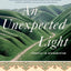 An Unexpected Light: Travels in Afghanistan
