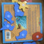 Touch & Fit: Sea Creatures