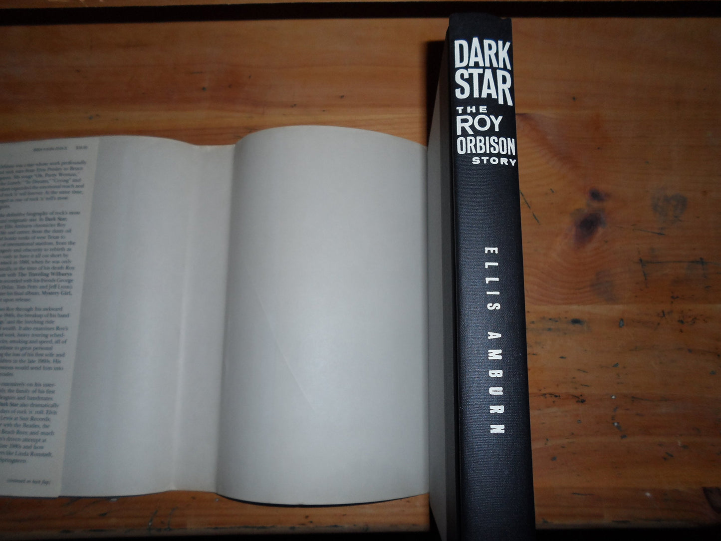 Dark Star: The Roy Orbison Story