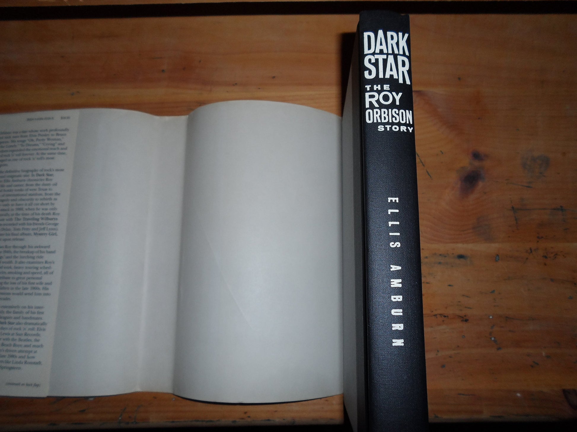 Dark Star: The Roy Orbison Story