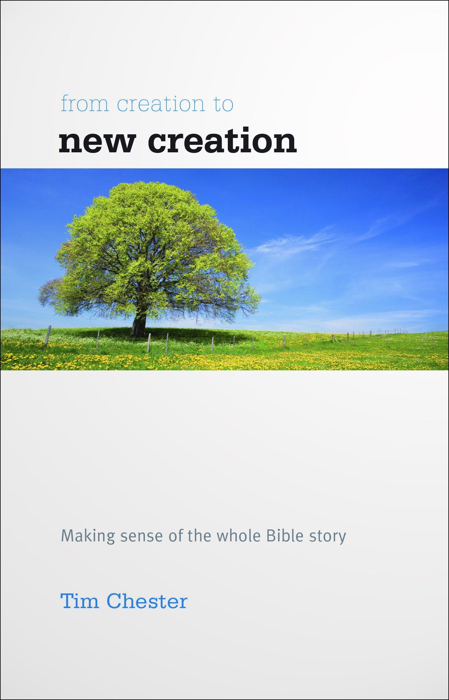 From Creation to New Creation (Accessible Theology)