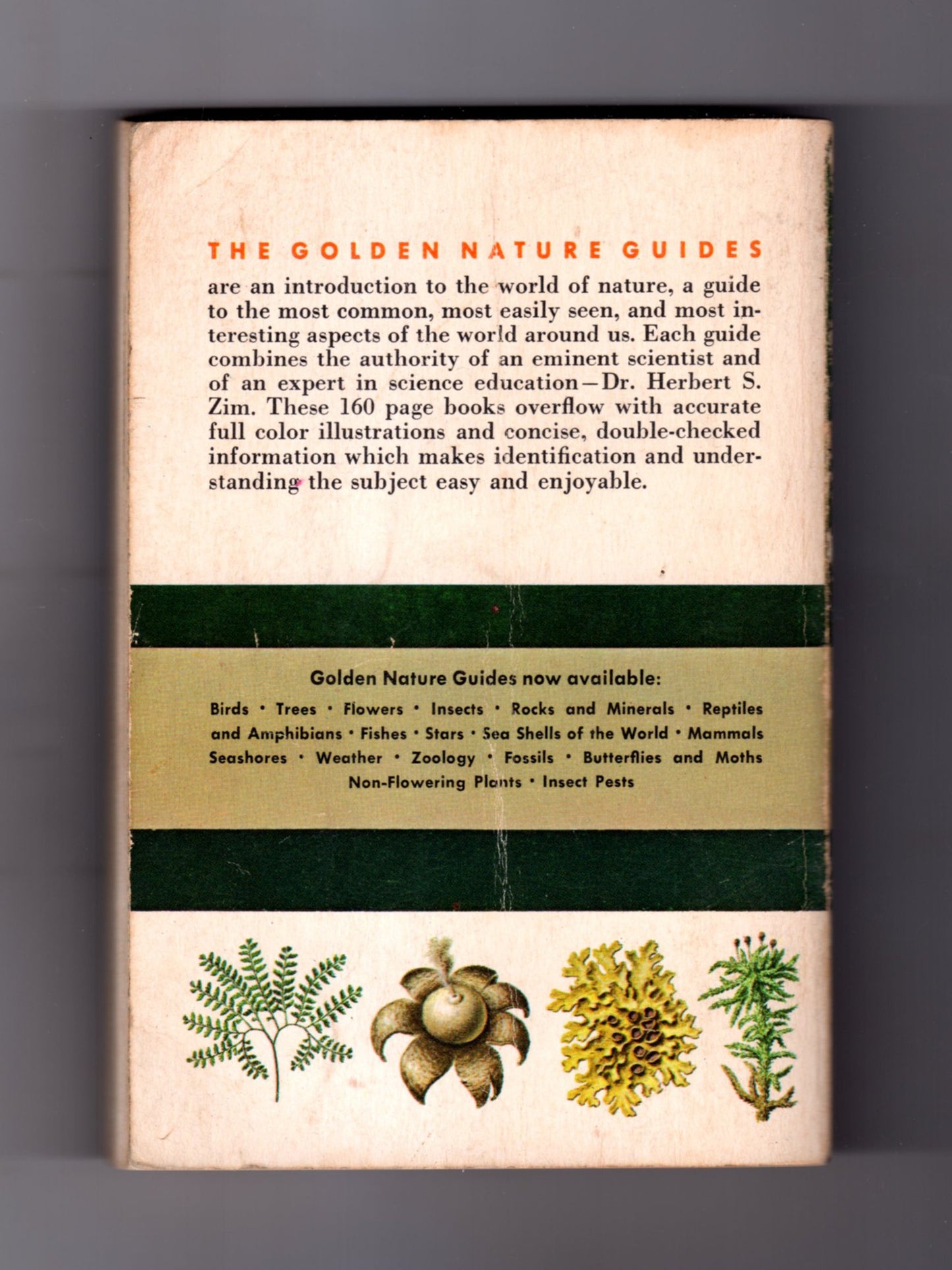 Non-Flowering Plants; Ferns, Mosses, Lichens, Mushrooms and