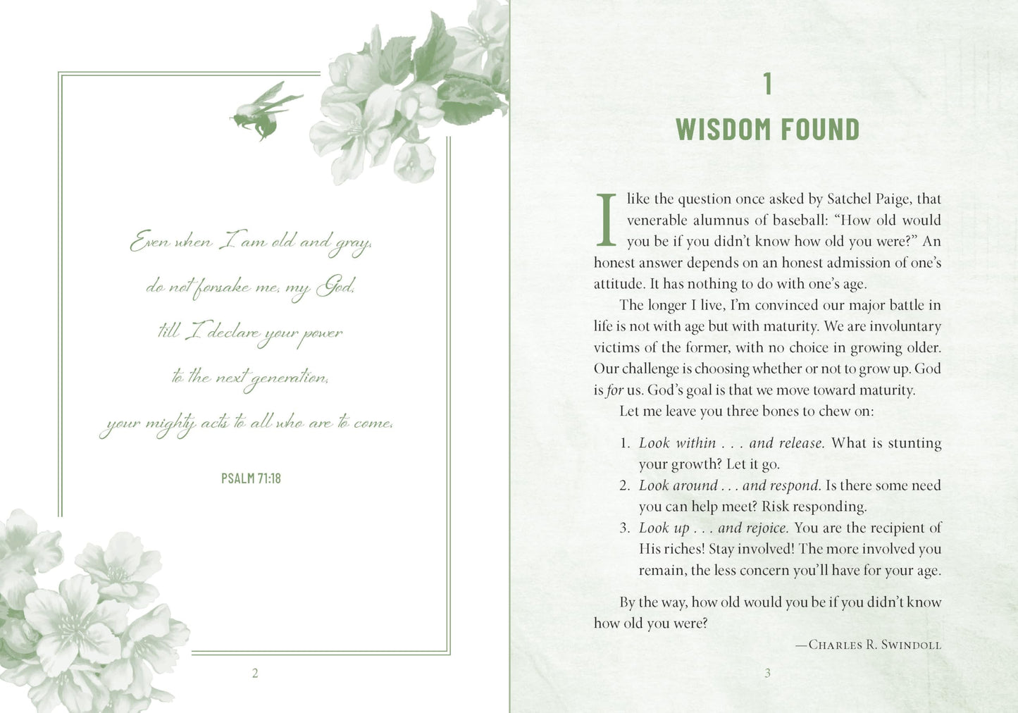 Devotions for Grandmas: A 40-Day Bible Devotional to Encourage and Inspire Grandmothers – The Perfect Mother’s Day Gift for Christian Moms