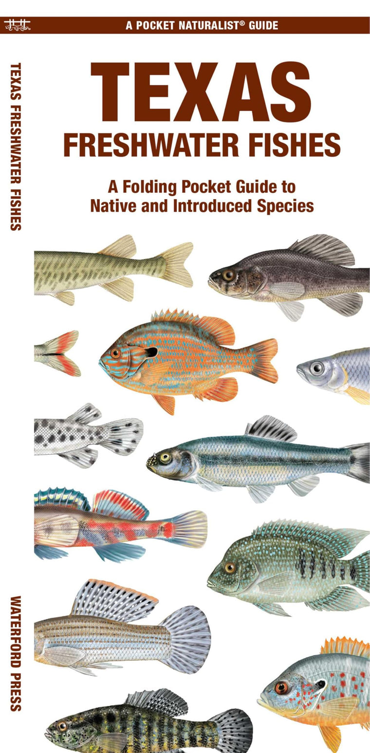 Texas Freshwater Fishes: A Folding Pocket Guide to Native and Introduced Species (Nature Observation North America)