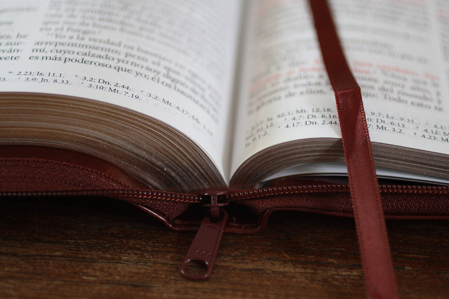 Biblia Reina Valera 1960 letra grande. S?mil piel canela, cremallera, tama?o manual / Spanish Bible RVR 1960. Handy Size, Large Print, Leathersoft, Brown Zip (Spanish Edition)