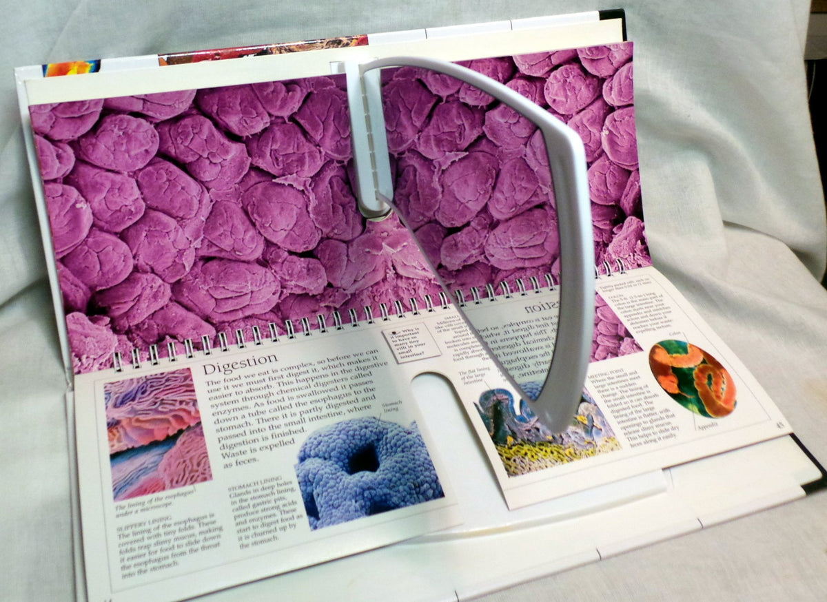 3D Eyewitness: Human Body