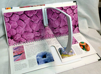 3D Eyewitness: Human Body