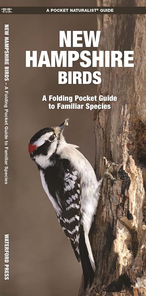 New Hampshire Birds: A Folding Pocket Guide to Familiar Species (Nature Observation North America)