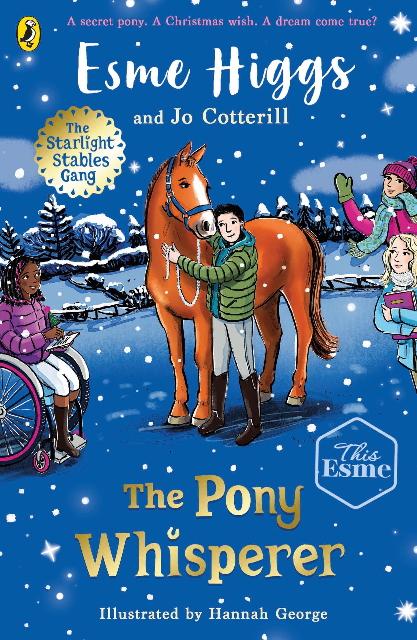 The Pony Whisperer (4) (The Starlight Stables Gang)