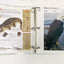 Wildlife Explorer (Group 1 through Group 8)