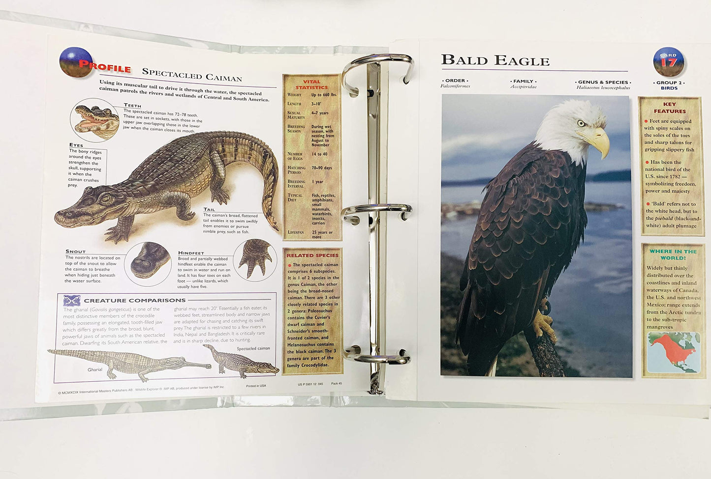 Wildlife Explorer (Group 1 through Group 8)