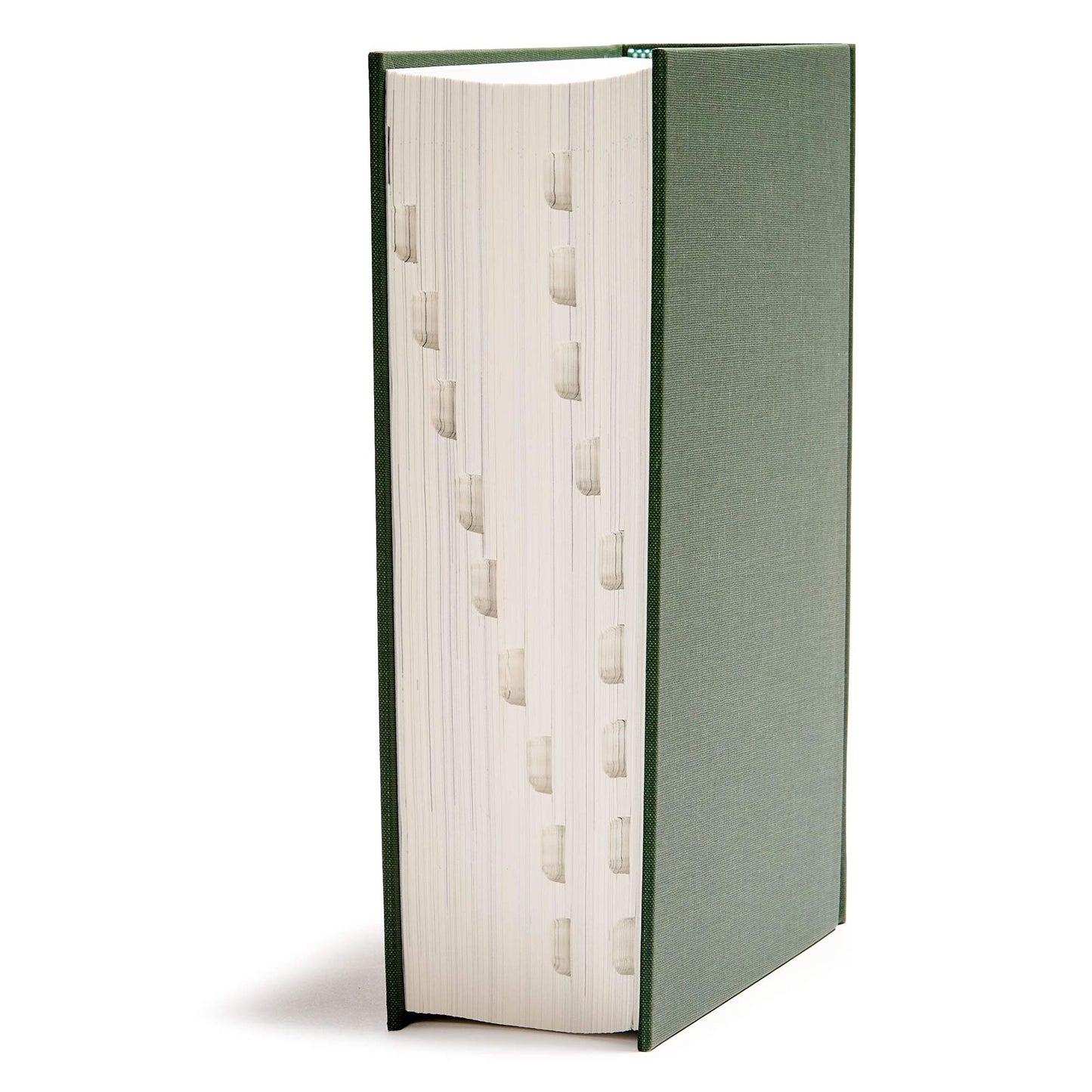 CSB He Reads Truth Bible, Evergreen Cloth Over Board, Indexed, Black Letter, Wide Margins, Journaling Space, Illustrations, Reading Plans, Single-Column, Easy-to-Read Bible Serif Type