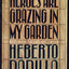 Heroes Are Grazing In my Garden: A Novel