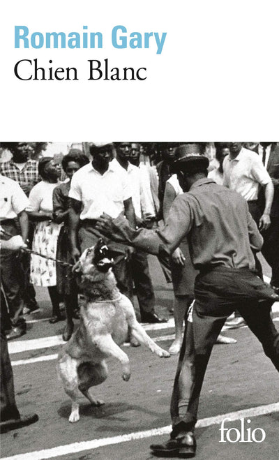 Chien Blanc (Folio)