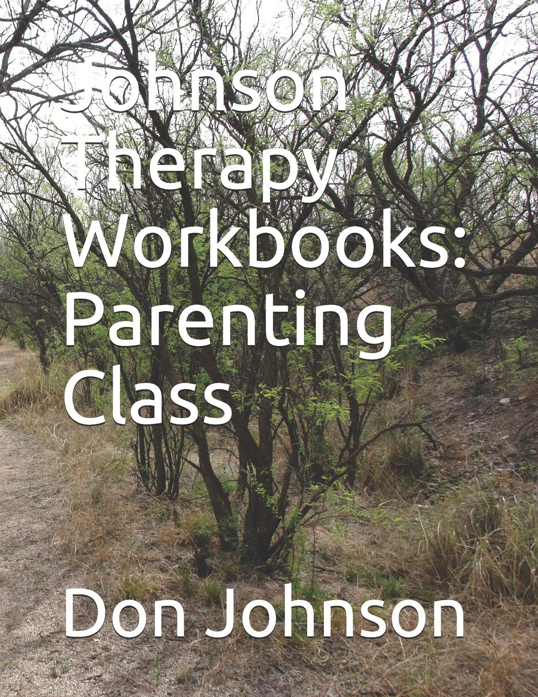Johnson Therapy Workbooks: Parenting Class