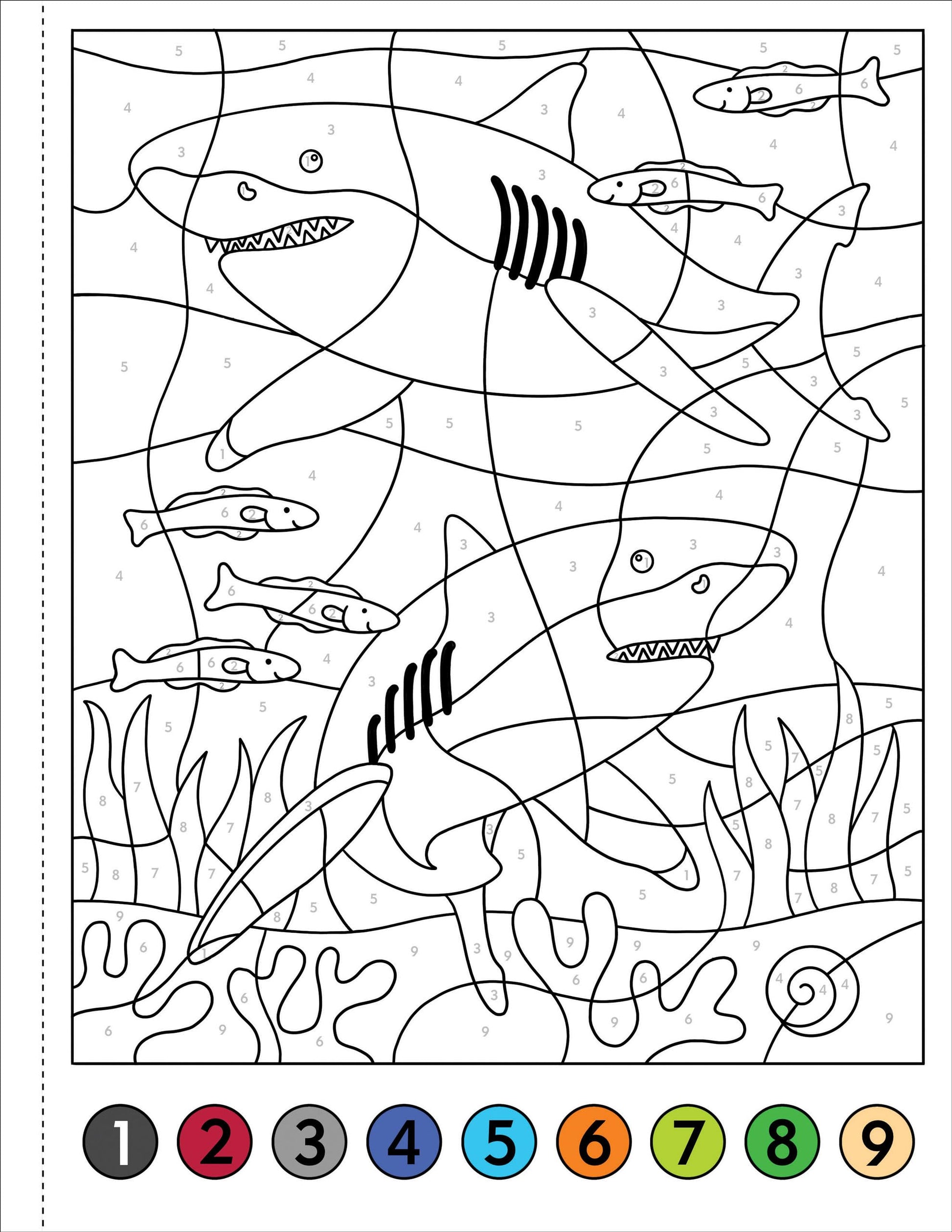Color-By-Number! Under The Sea (50 Unique, One -Sided Designs)