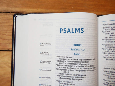 NIV Wide Margin Side Column Reference Bible