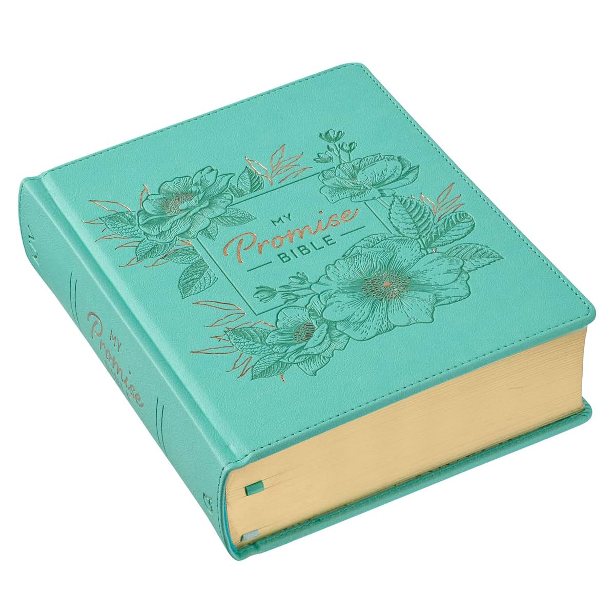 KJV Holy Bible, My Promise Bible, Faux Leather Hardcover w/Bible Tabs, Coloring Stickers, Ribbon Markers, King James Version, Teal (KJV Promise Editions)