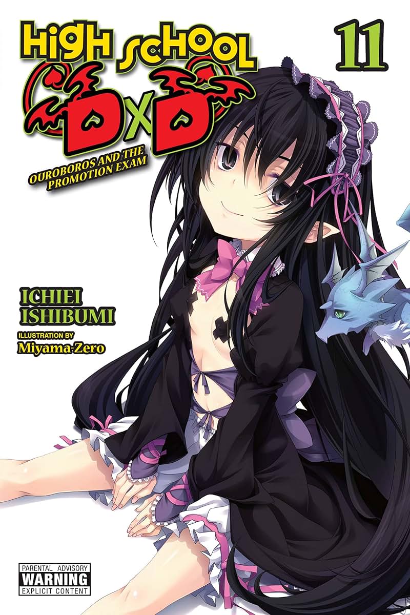 High School DxD, Vol. 11 (light novel) (High School DxD (light novel))