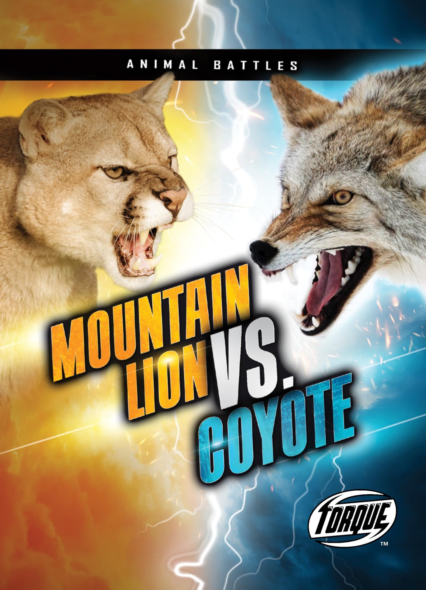 Mountain Lion vs. Coyote (Animal Battles)