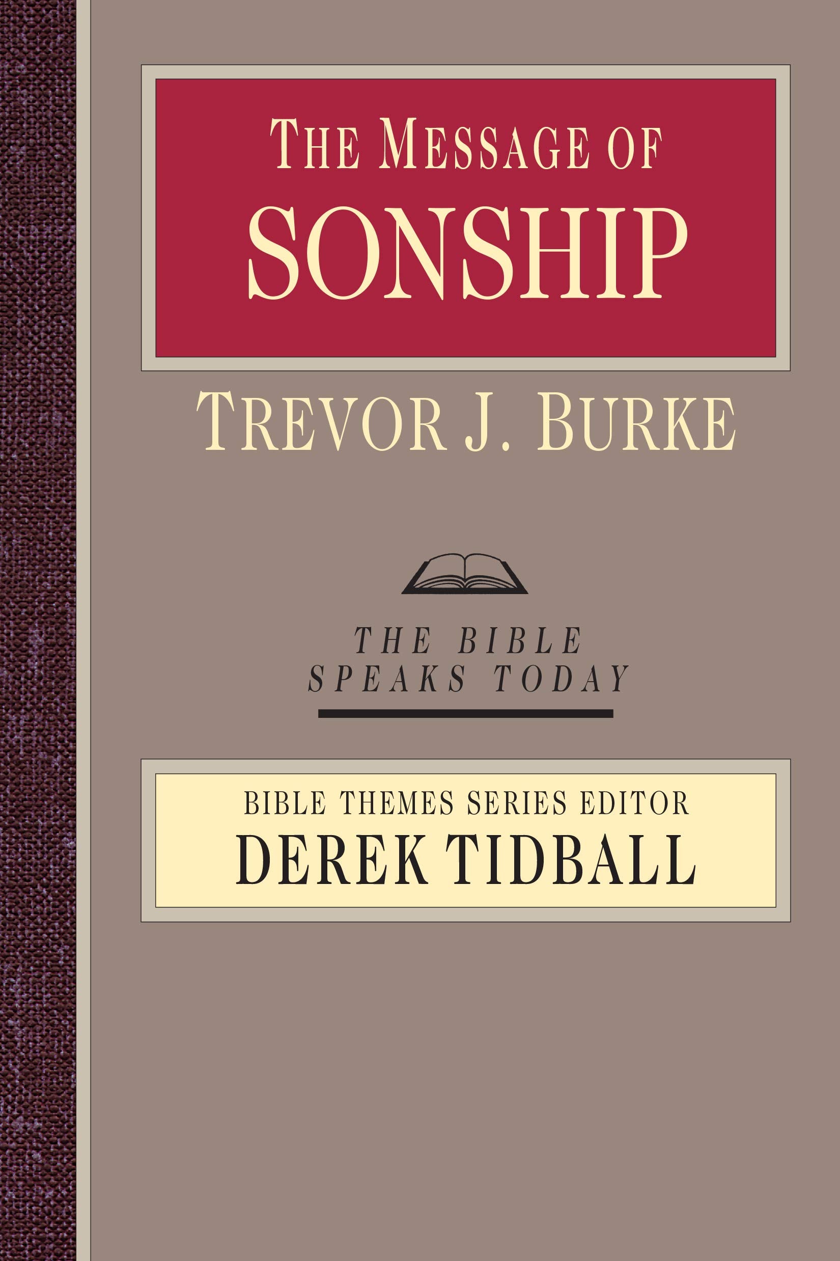 The Message of Sonship (The Bible Speaks Today Bible Themes Series)