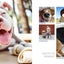 Dogs on Instagram